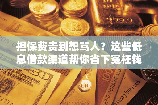 济南担保费贵到想骂人？这些低息借款渠道帮你省下冤枉钱