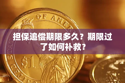济南担保追偿期限多久？期限过了如何补救？
