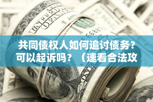 济南共同债权人如何追讨债务？可以起诉吗？（速看合法攻略）